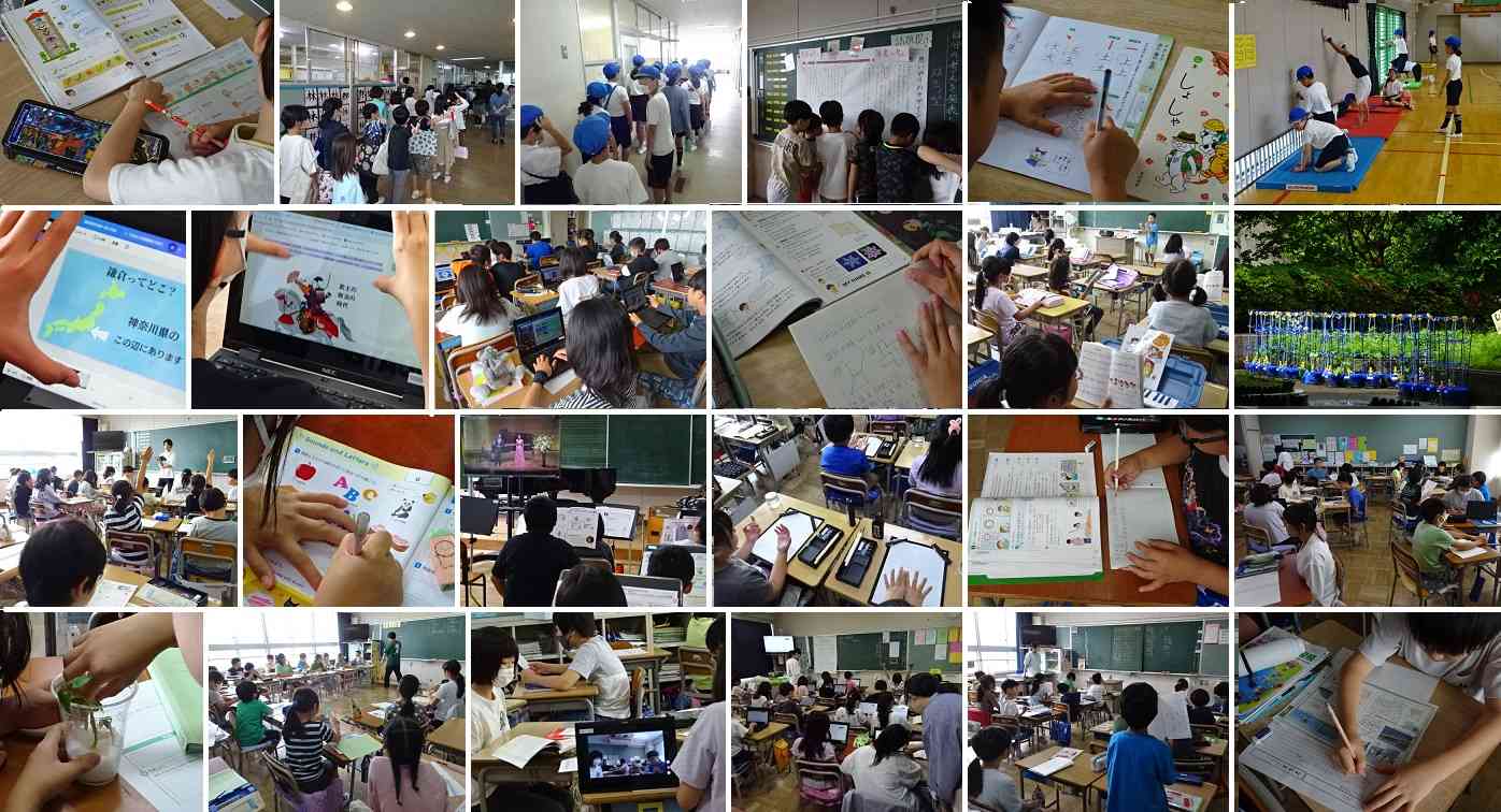 240528-ひと回り雨の火曜日